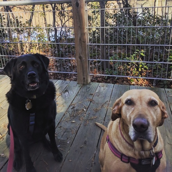 Meet your Posher, Virginia - Picture 3 of 3